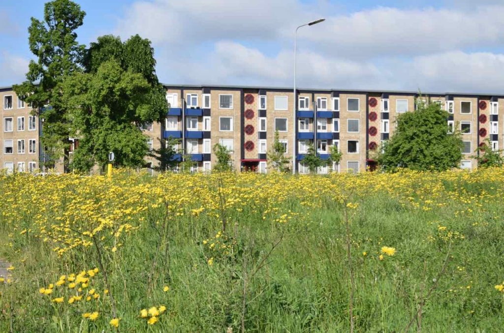 Florakade met bloemen ervoor