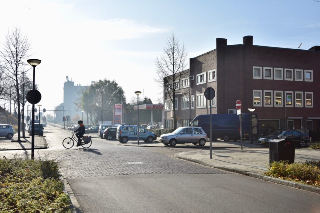 Hortensialaan hoek in de ochtend